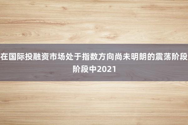 在国际投融资市场处于指数方向尚未明朗的震荡阶段阶段中2021