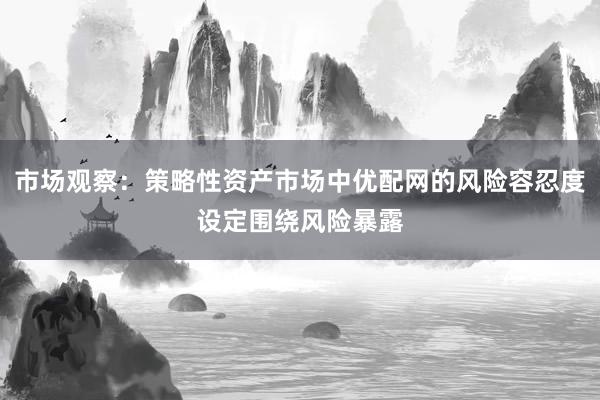 市场观察：策略性资产市场中优配网的风险容忍度设定围绕风险暴露