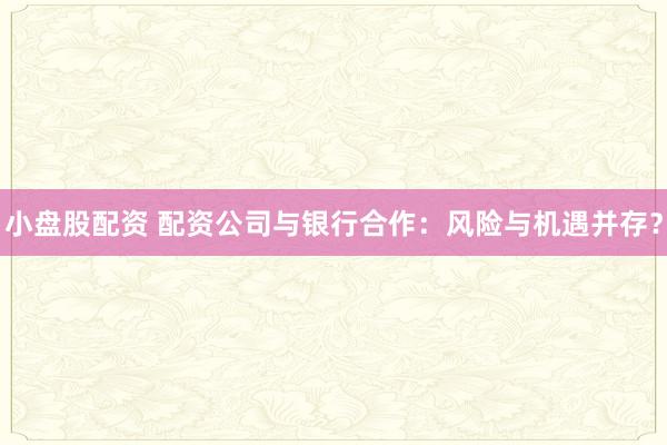 小盘股配资 配资公司与银行合作：风险与机遇并存？