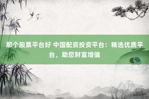 那个股票平台好 中国配资投资平台：精选优质平台，助您财富增值