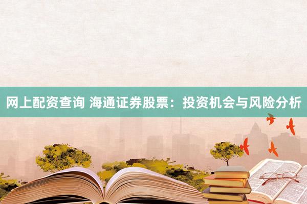 网上配资查询 海通证券股票：投资机会与风险分析
